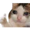 Emoji catthumsad