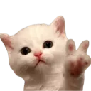 Emoji catpeace