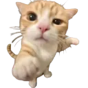 Emoji catyouu