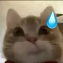 Emoji carGene