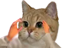 Emoji chatalors