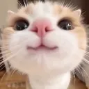 Emoji emoji_13