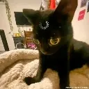 Emoji emoji_14