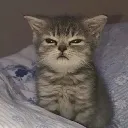 Emoji emoji_22