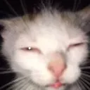 Emoji emoji_24