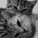 Emoji emoji_25
