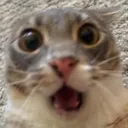 Emoji emoji_141