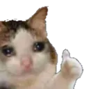 Emoji cat_thumbsup