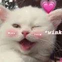 Emoji winky_cat