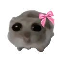 Emoji hamstercoquette