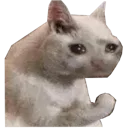 Emoji 6b73d66160a8440dbcc59b2f9b85c18c