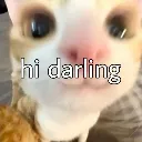 Emoji hi_darling