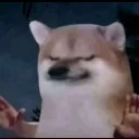 Emoji I_got_this