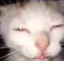Emoji Chat_fatigue