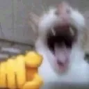 Emoji emoji_20