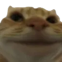 Emoji Cat_1Smile