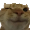 Emoji Cat_1Wink