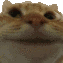 Emoji gCat_Yes