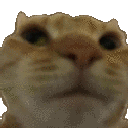 Emoji gCat_No