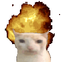 Emoji gCat_Boom