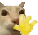 Emoji gCat_Wave