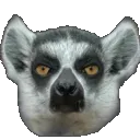 Emoji Lemur