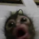 Emoji Capturedcran20260318222835