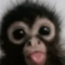 Emoji Capturedcran20260318222847