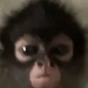 Emoji Capturedcran20260318222855