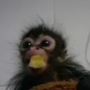 Emoji Capturedcran20260318222921