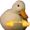 Emoji canardUwU