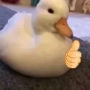 Emoji canardetcestok