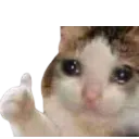 Emoji CatSadThumbsUp