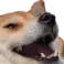 Emoji dogeLOL