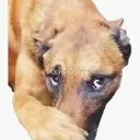 Emoji emoji_4