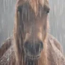 Emoji horse_sad