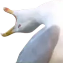 Emoji F1Inhales