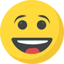 Emoji heureux11