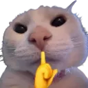 Emoji 718882shh