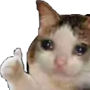 Emoji eri
