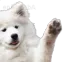 Emoji Dog_Wave
