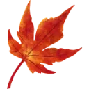 Emoji leaf