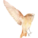 Emoji bird