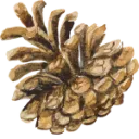 Emoji pin