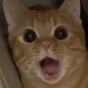 Emoji CC_Chat_Aaah2