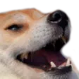 Emoji doggokek