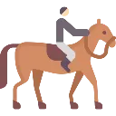 Emoji equitation_dressage