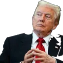 Emoji Trump