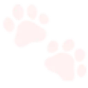 Emoji paws