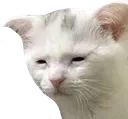 Emoji EXP_WTired